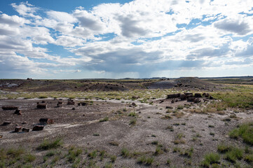 Desert landscape of Petrified Forest National Park with prehistoric petrified logs