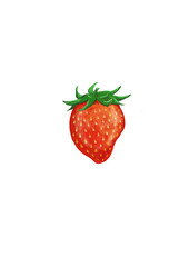 strawberry on white background
