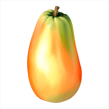Fresh Papaya Isolated Detailed Hand Drawn Painting Illustration