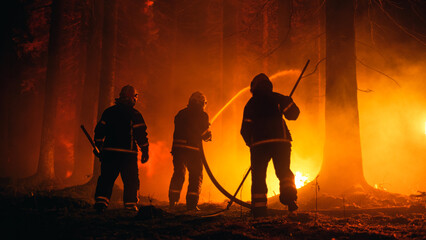 Shot From The Back of a Professional Firefighters Steadily Extinguishing a Forest Fire with the...