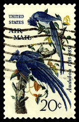 Postage stamp. Columbia Jays,