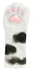 Black dots, white cat paw watercolor isolated background clip art 