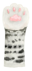 Black and white Cat paw with white sock watercolor isolated background clip art 