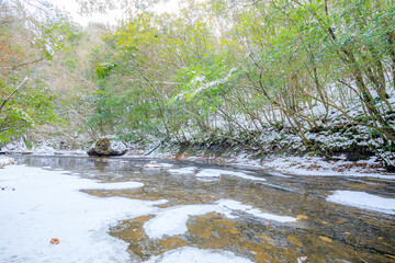 冬の岳切渓谷　大分県宇佐市　Takkiri Valley in winter.　 Oita Prefecture, Usa city.