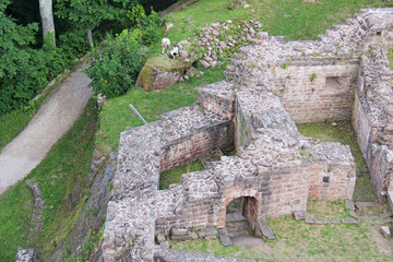 The ruin of the Castle of Wagenbourg Engenthal Alsace France 