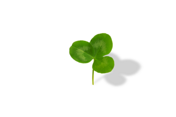 Happy St. Patrick's Day text with clover leaf on transparent background