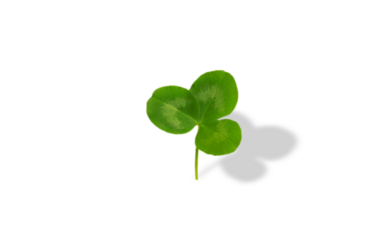 Happy St. Patrick's Day text with clover leaf on transparent background