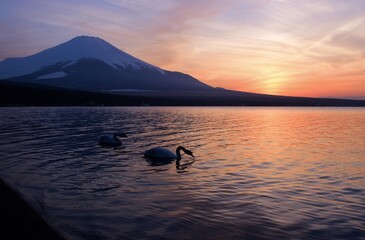 夕暮れの山中湖・富士山