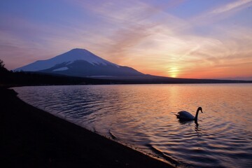 Naklejka na ściany i meble 夕暮れの山中湖・富士山
