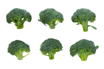 Broccoli isolated on white background with clipping path. Full Depth of field. Focus stacking. PNG