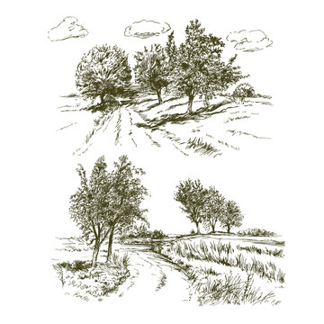 Rural landscape, meadows and trees.