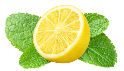Delicious lemon with mint leaves cut out