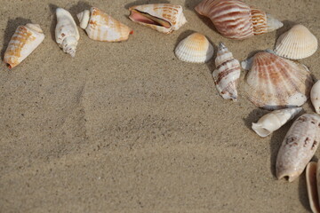 summer beach background with seashells, sand and copy space