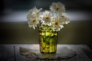 still life with white chrysanthemum in the green glass