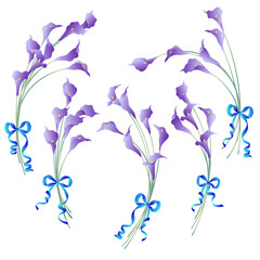 Fototapeta na wymiar Collection of beautiful calla lily materials,