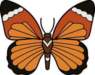 Butterfly illustration. Vector illustration. Live nature.
