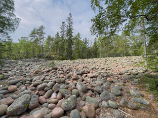Ger&ouml;llfeld im Nationalpark Skuleskogen im Gebiet der  H&ouml;ga Kusten in Schweden