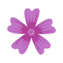 Mallow flower flat style illustration isolated on white background. Mallow flower vector illustration