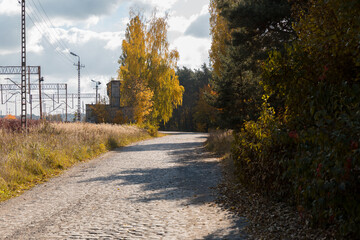 A road paved with granite in the autumn season.