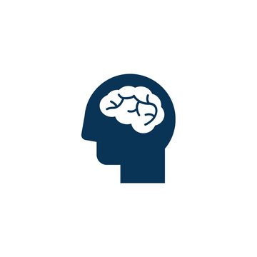 Brain -  Transparent PNG