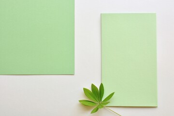 Mockup of two blank light green cards on white background with green leaf close-up. Wedding, Happy Birthday, greeting, invitation card