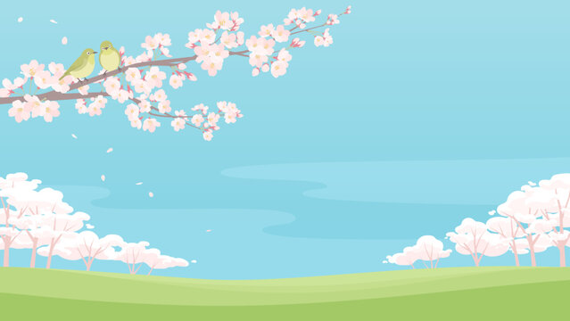 メジロがいる桜の木のイラスト　春の青空を背景にした満開の桜と緑の丘の風景