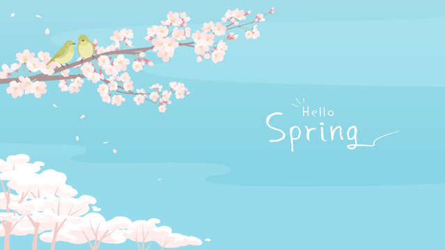 桜の花と２羽のメジロの背景イラスト　日本の春の風景