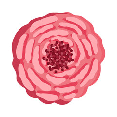 Cute pink rose bud. Botanical vector illustration isolated on white background for postcard, poster, ad, decor, fabric and other uses.