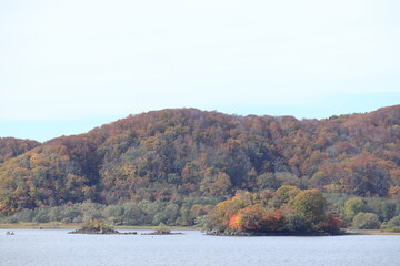 青空の下で色ずく島の紅葉