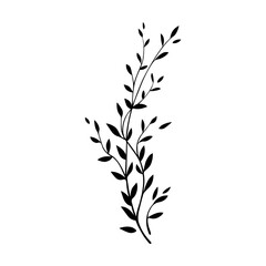 Vector leaves isolated on white background. Decorative botanical elements for greeting cards, wedding invitations, logo, stationery, textile