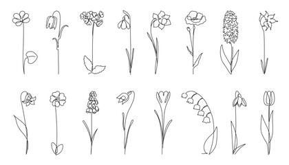 Continuous one line spring flowers. Botanicals silhouette, early flower and nature beauty hand drawn vector illustration set