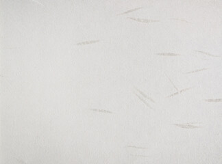 Japanese traditional washi paper texture background. Graceful handmade paper with abstract leaf pattern.