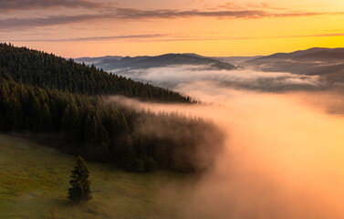Amazing foggy sunrise landscape. Aerial view with clouds over a forest in beautiful warm light. Landscapes of Romania.