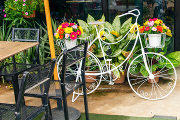 Fototapeta na wymiar White bicycle with flower pot decoration in cafe