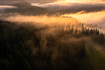 Amazing foggy sunrise landscape. Aerial view with clouds over a forest in beautiful warm light....