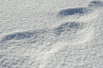 Texture of white snow with shadow for design. Winter background. Sunny day. View from above.