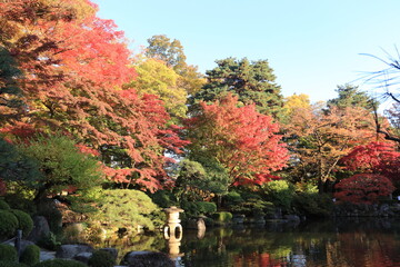 池ののまわりであざやかに色ずく木々