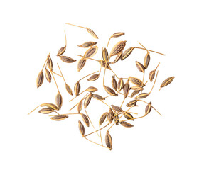 dried Caraway seeds isolated on transparent png