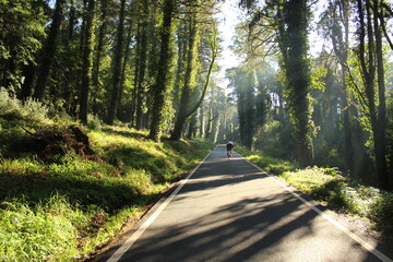 Estrada na serra