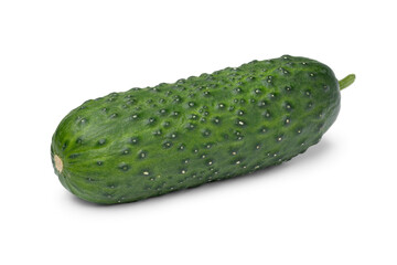 Single whole fresh healthy snack cucumber close up isolated on white background