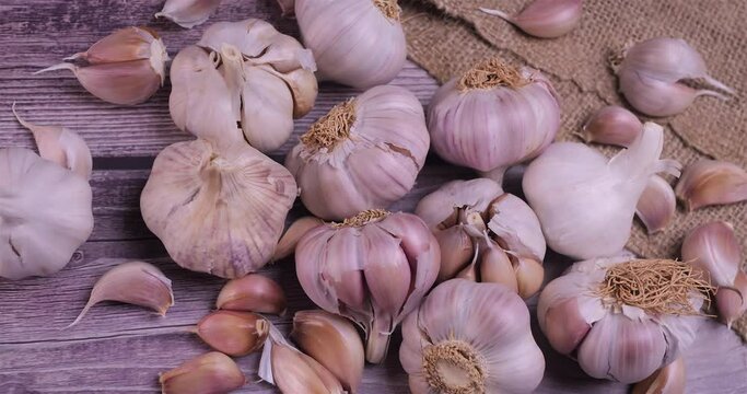 Fresh garlic with intense unique flavor and aroma on wooden background. One of the most popular ingredients of the basic recipes with nutritional properties and health benefits. Dolly shot 4k