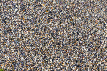 Beautiful horizontal texture of yellow sand with waves pebbles and shells is in the photo