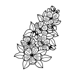 Blossoming branch of an apple tree. Vector stock illustration eps10. Empty contour, isolate on a white background.