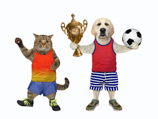 Fototapeta na wymiar Dog labrador and cat are footballers