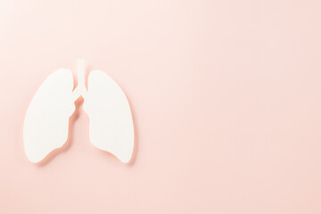 World tuberculosis day. Top view Lungs paper decorative symbol on pink background, copy space, concept of world TB day, no tobacco, Medical and healthcare, lung cancer awareness, 24 March