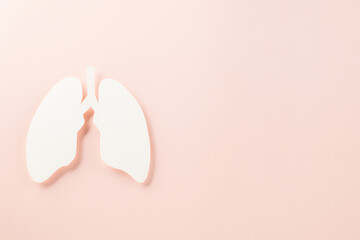 World tuberculosis day. Top view Lungs paper decorative symbol on pink background, copy space, concept of world TB day, no tobacco, Medical and healthcare, lung cancer awareness, 24 March