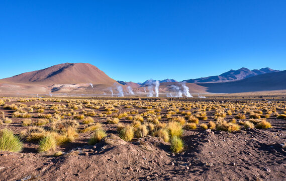 geyser del tatio in atacama desert, chile