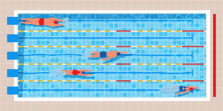 Top view swimming pool. Pool race with professional swimmers in swimwear, water sport vector illustration