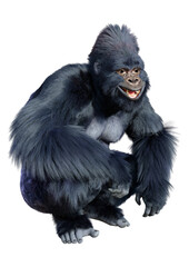 3D Rendering Black Gorilla Ape on White