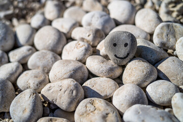 hand drawn smile on a small gray stone. The smiling stone lies on top of other stones in the background